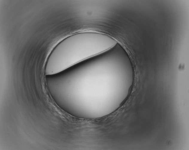 X0000112800289200908211009