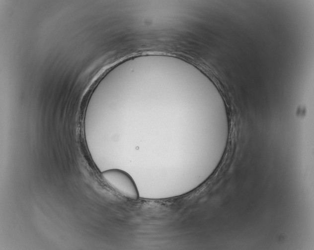 X0000112800290200908211009