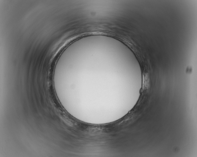 X0000112800291200908211009