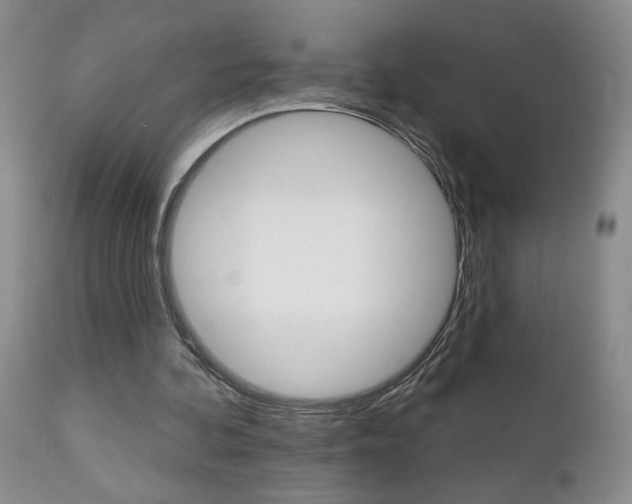 X0000112800292200908211009