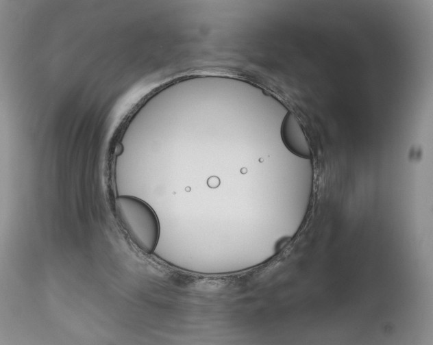 X0000112800294200908211009