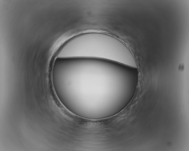 X0000112800296200908211009