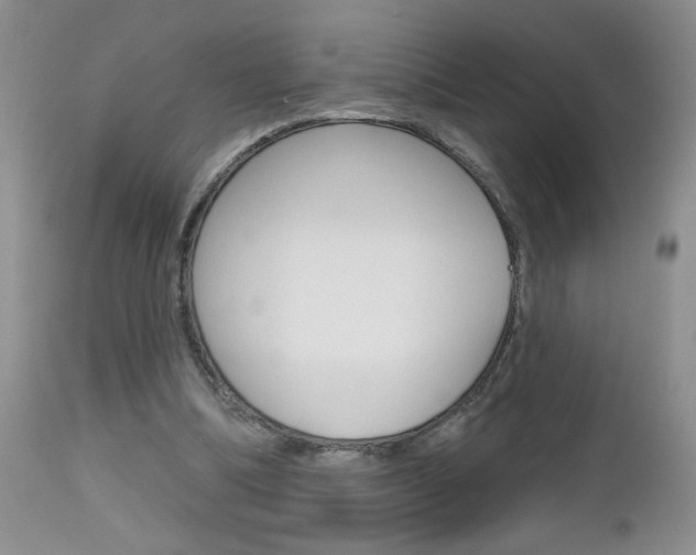 X0000112800298200908211009