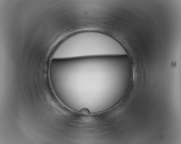 X0000112800300200908211009