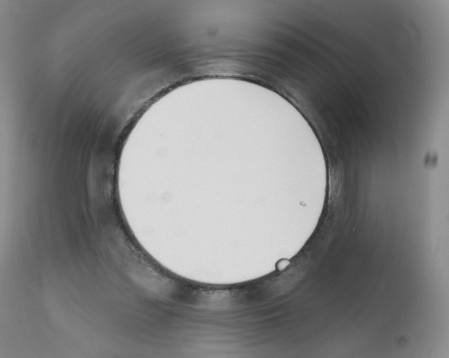 X0000112800301200908211009