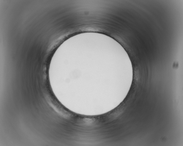 X0000112800302200908211009