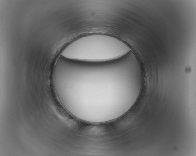 X0000112800303200908211009