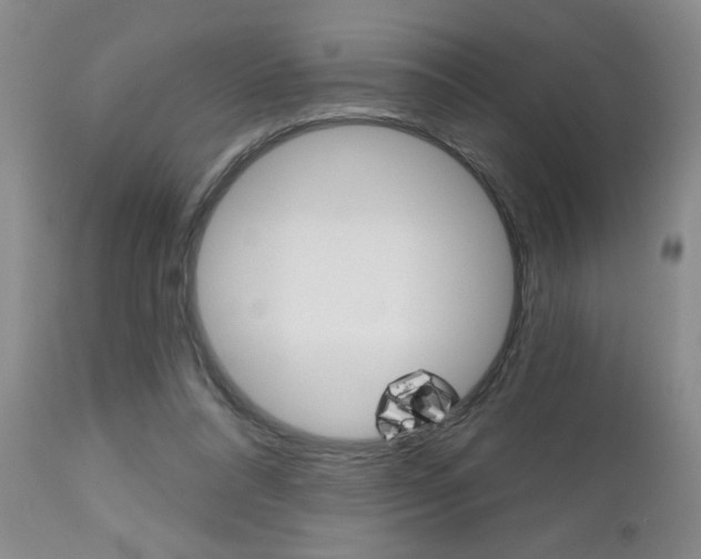 X0000112800304200908211009