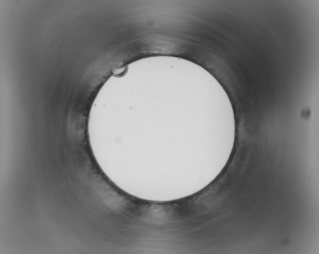 X0000112800305200908211009