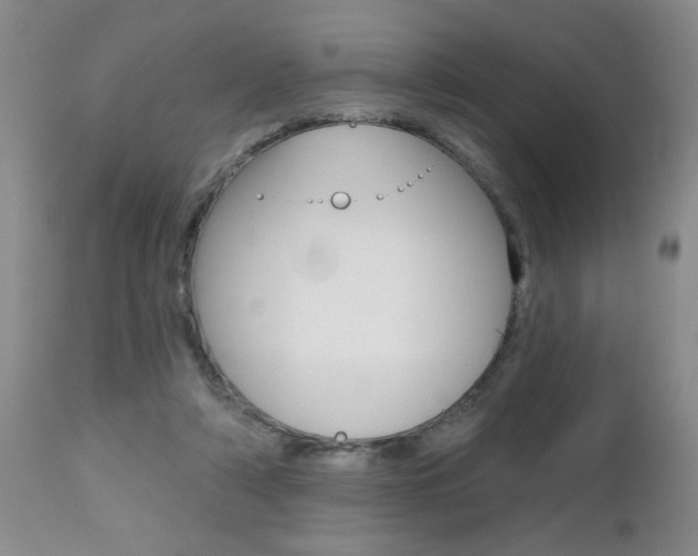 X0000112800306200908211009