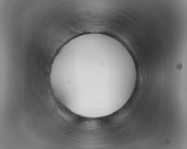 X0000112800307200908211009