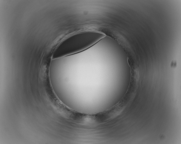 X0000112800308200908211009