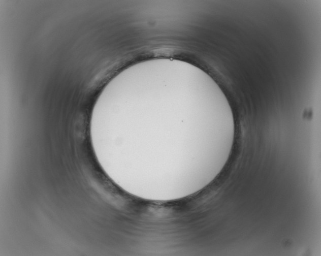 X0000112800311200908211009