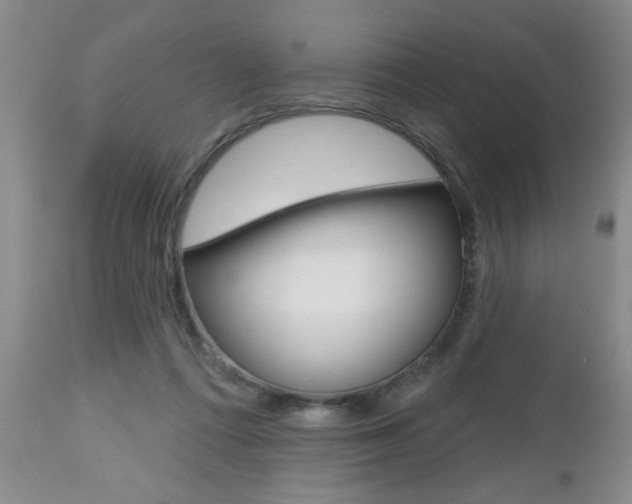 X0000112800312200908211009