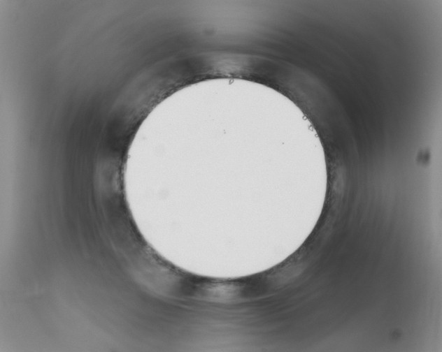 X0000112800313200908211009