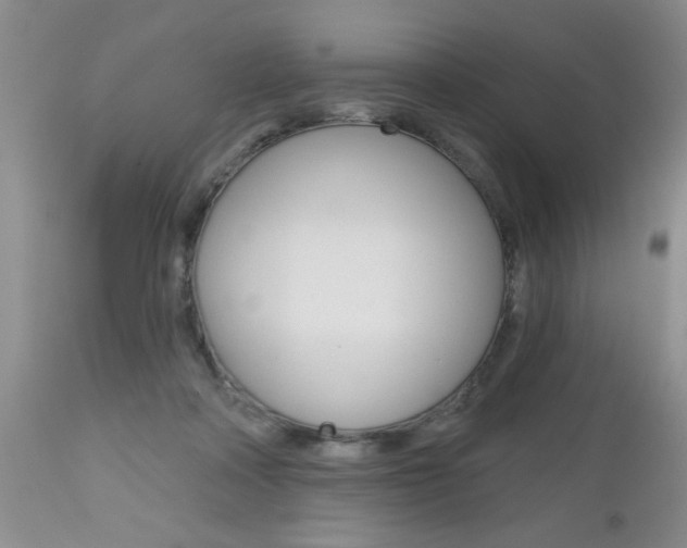 X0000112800314200908211009