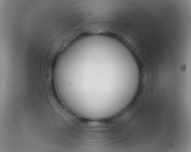 X0000112800315200908211009