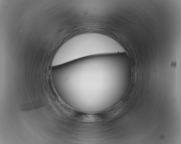 X0000112800316200908211009