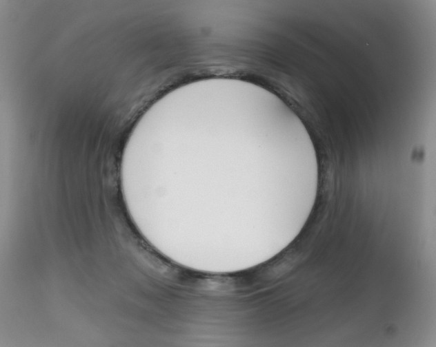 X0000112800317200908211009