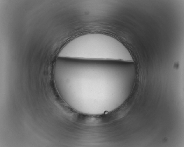 X0000112800319200908211009