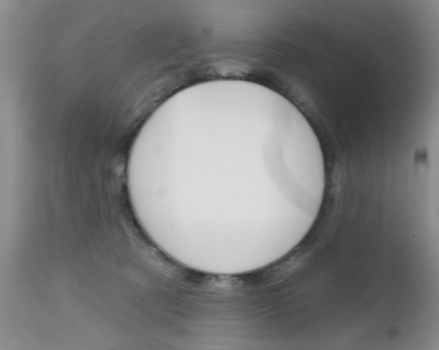 X0000112800321200908211009