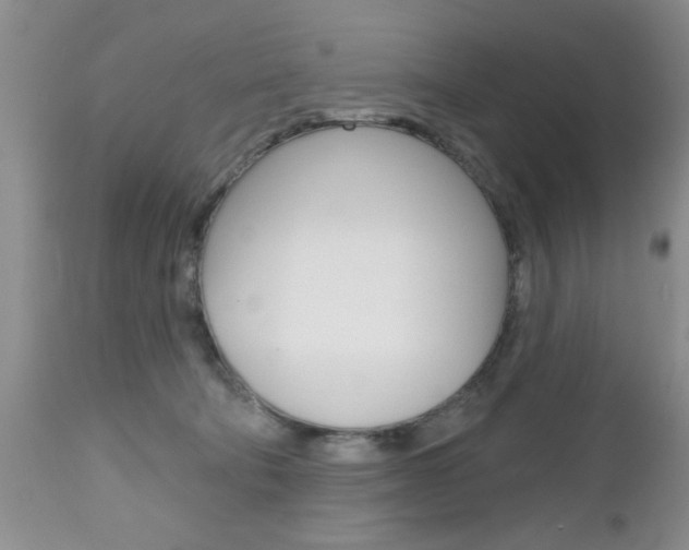 X0000112800322200908211009