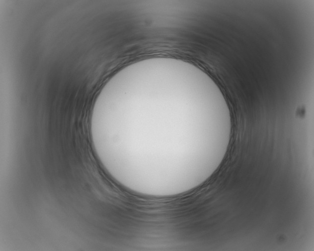 X0000112800323200908211009