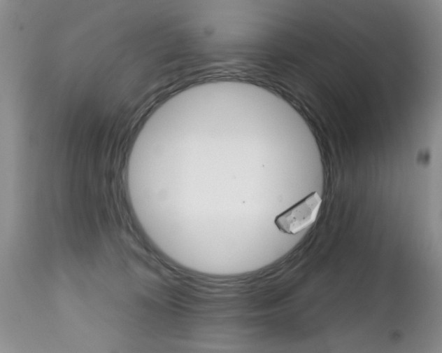 X0000112800324200908211009