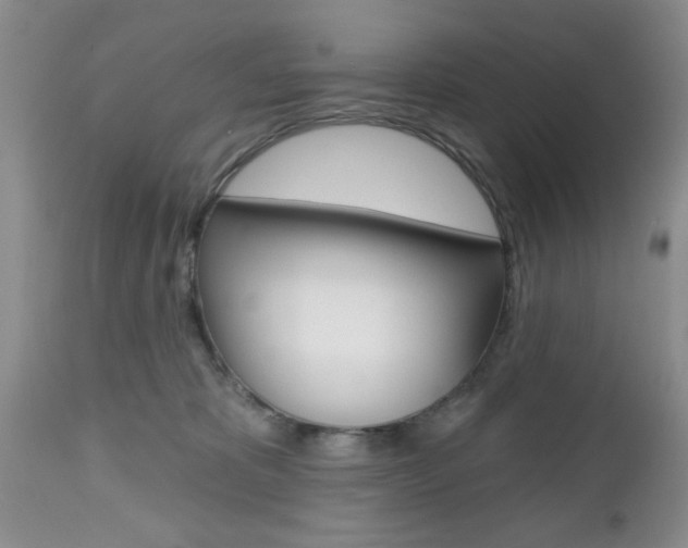 X0000112800325200908211009