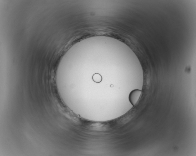 X0000112800326200908211009
