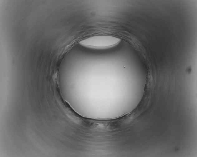 X0000112800329200908211008