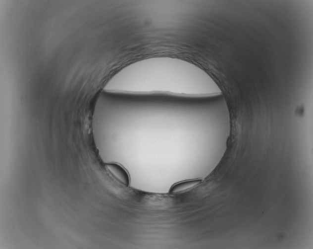 X0000112800331200908211008