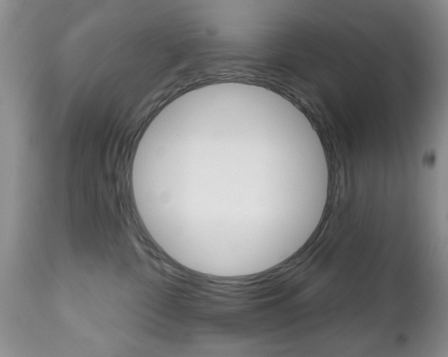 X0000112800332200908211008