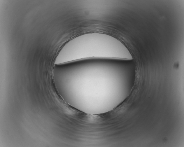 X0000112800333200908211008