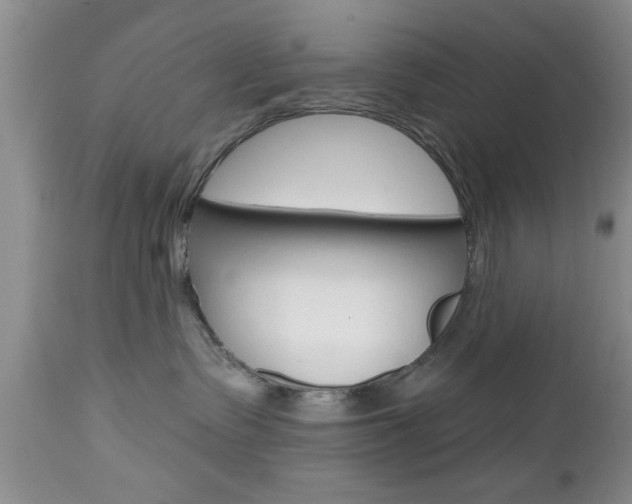 X0000112800335200908211008