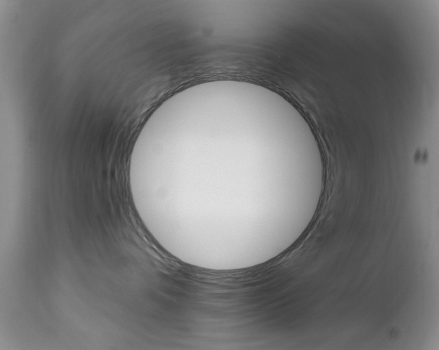 X0000112800336200908211008