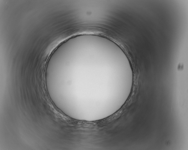 X0000112800337200908211008