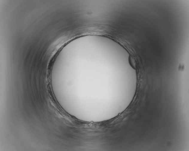 X0000112800338200908211008