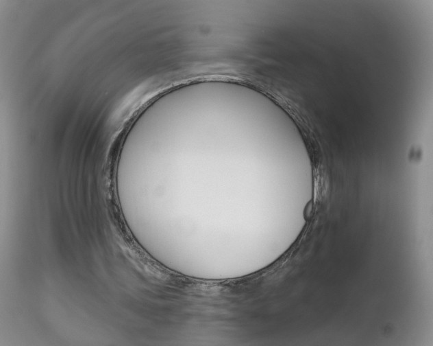 X0000112800339200908211008