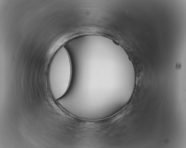 X0000112800341200908211008