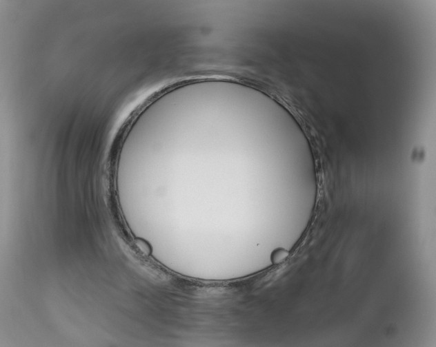 X0000112800342200908211008