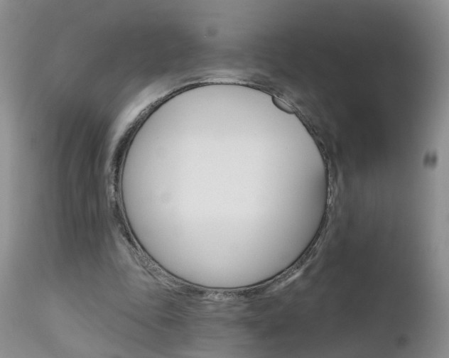 X0000112800343200908211008
