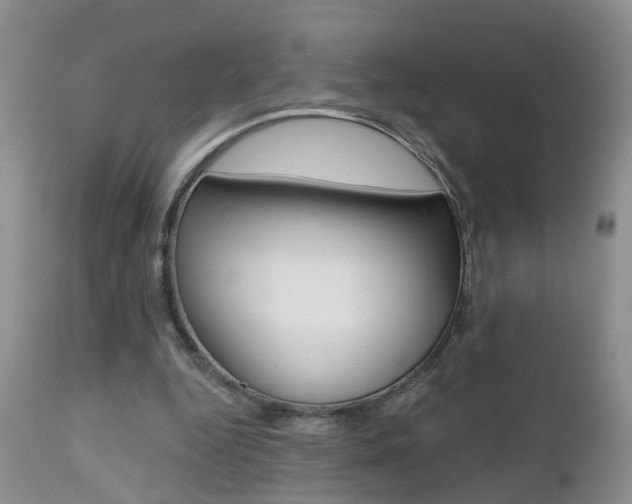 X0000112800344200908211008