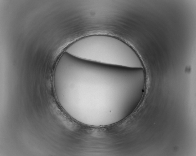 X0000112800345200908211008