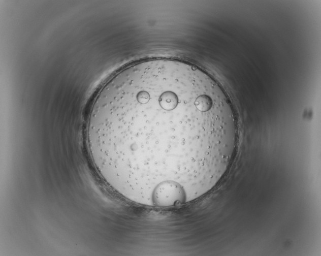 X0000112800346200908211008