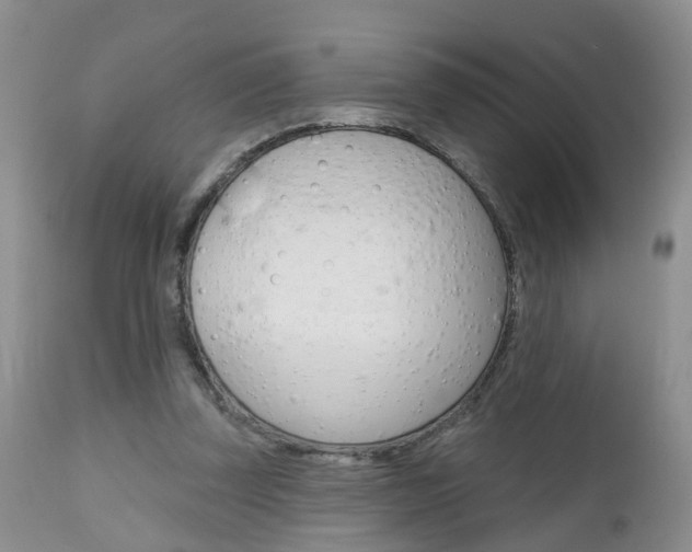 X0000112800347200908211008