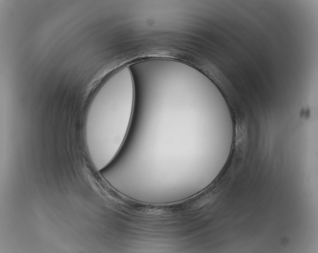 X0000112800349200908211008