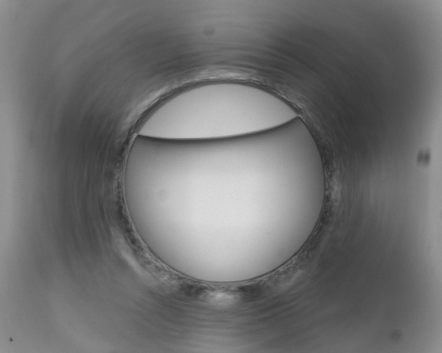 X0000112800352200908211008