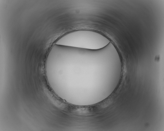X0000112800353200908211008