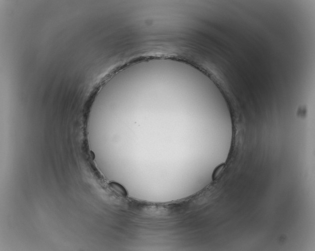 X0000112800354200908211008